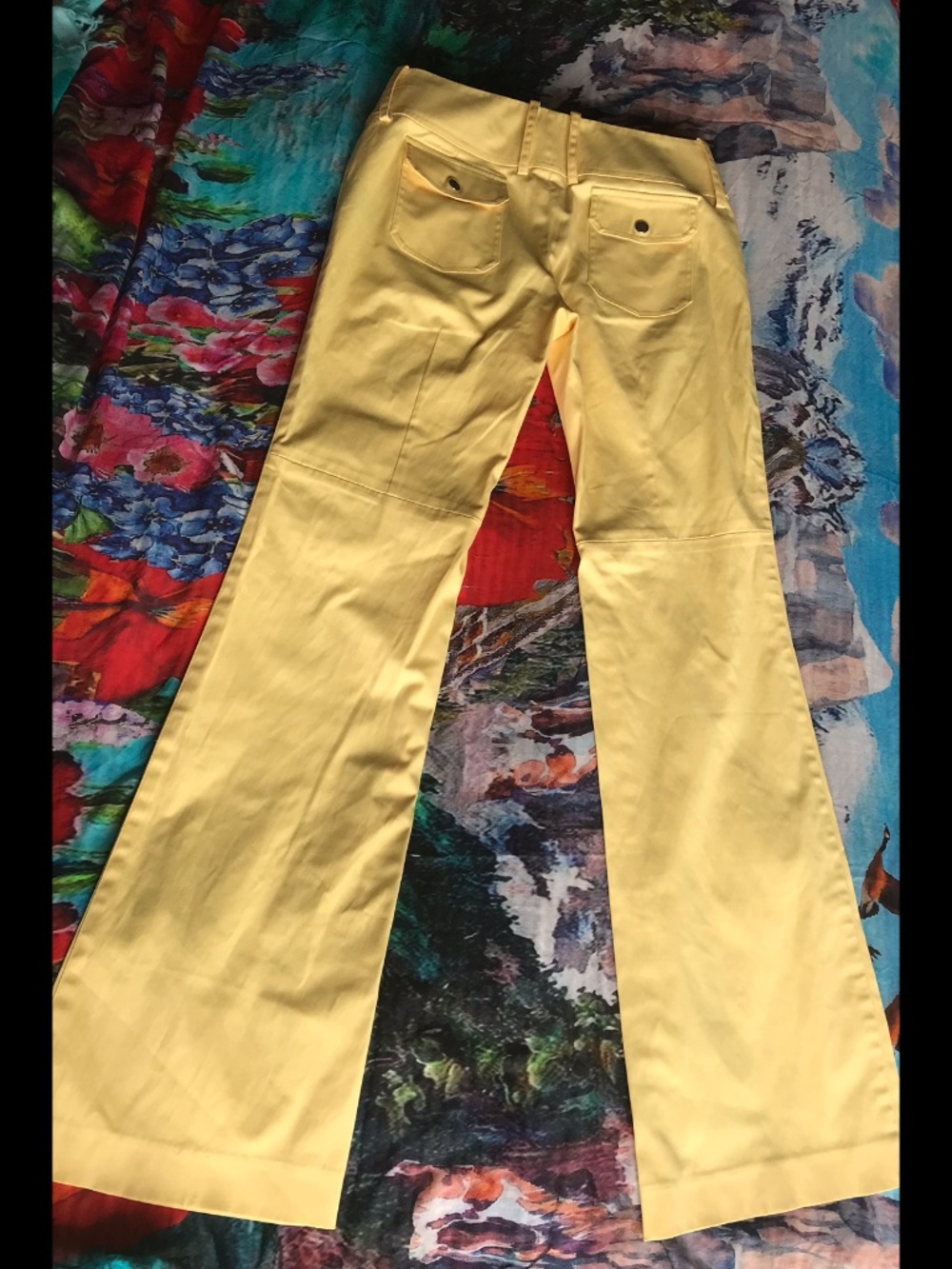 Fabulous Italian designer pants sz34